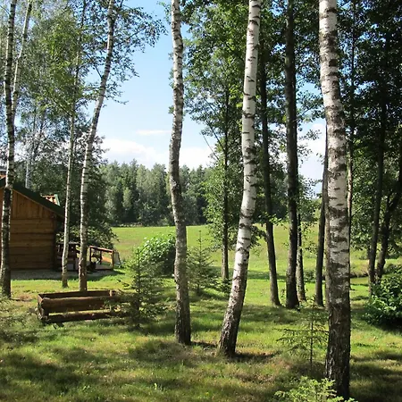 Domki Na Lesnej Polanie Lidzbark Warmiński Exterior foto