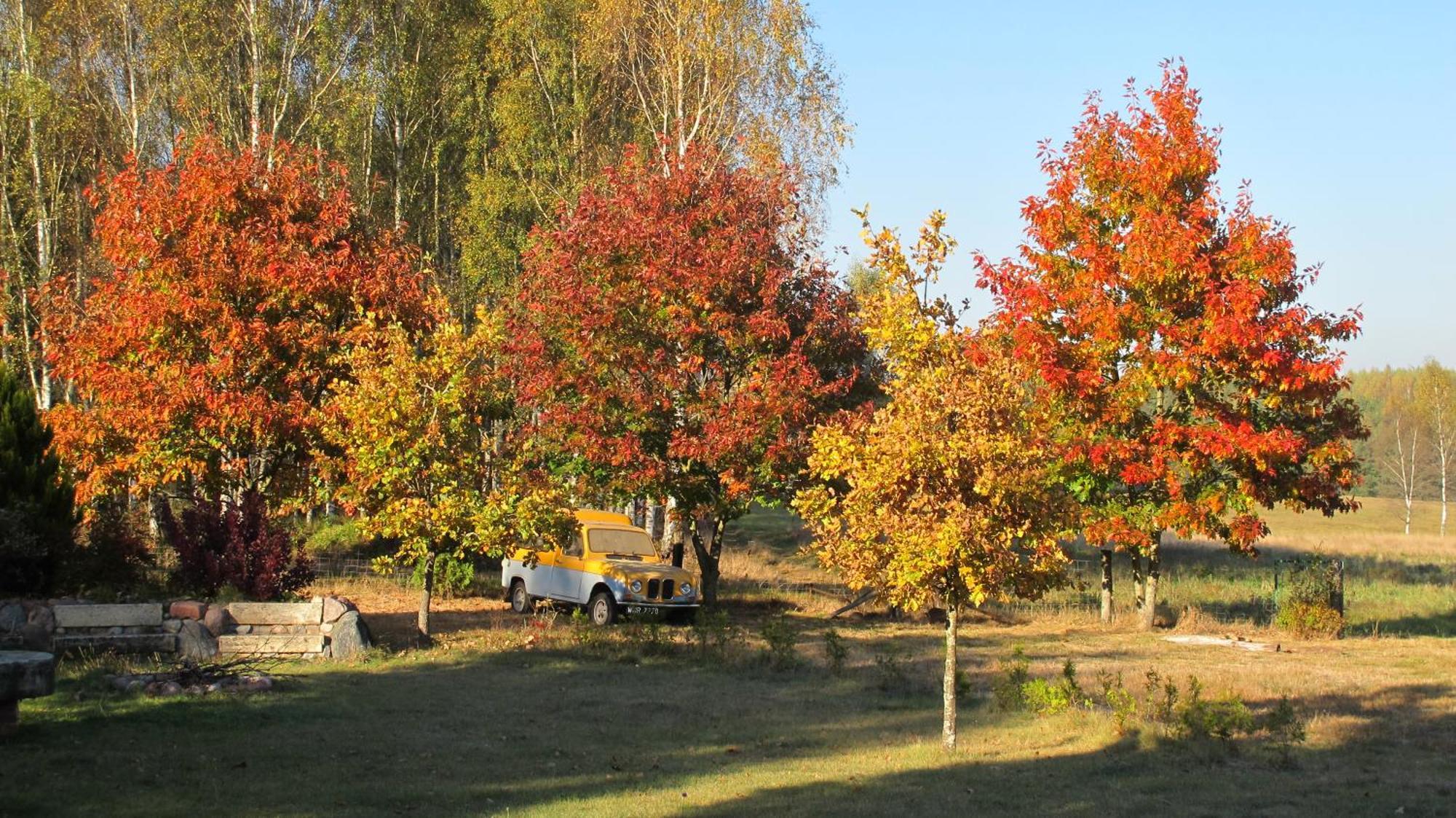 Ferienhaus Na Lesnej Polanie