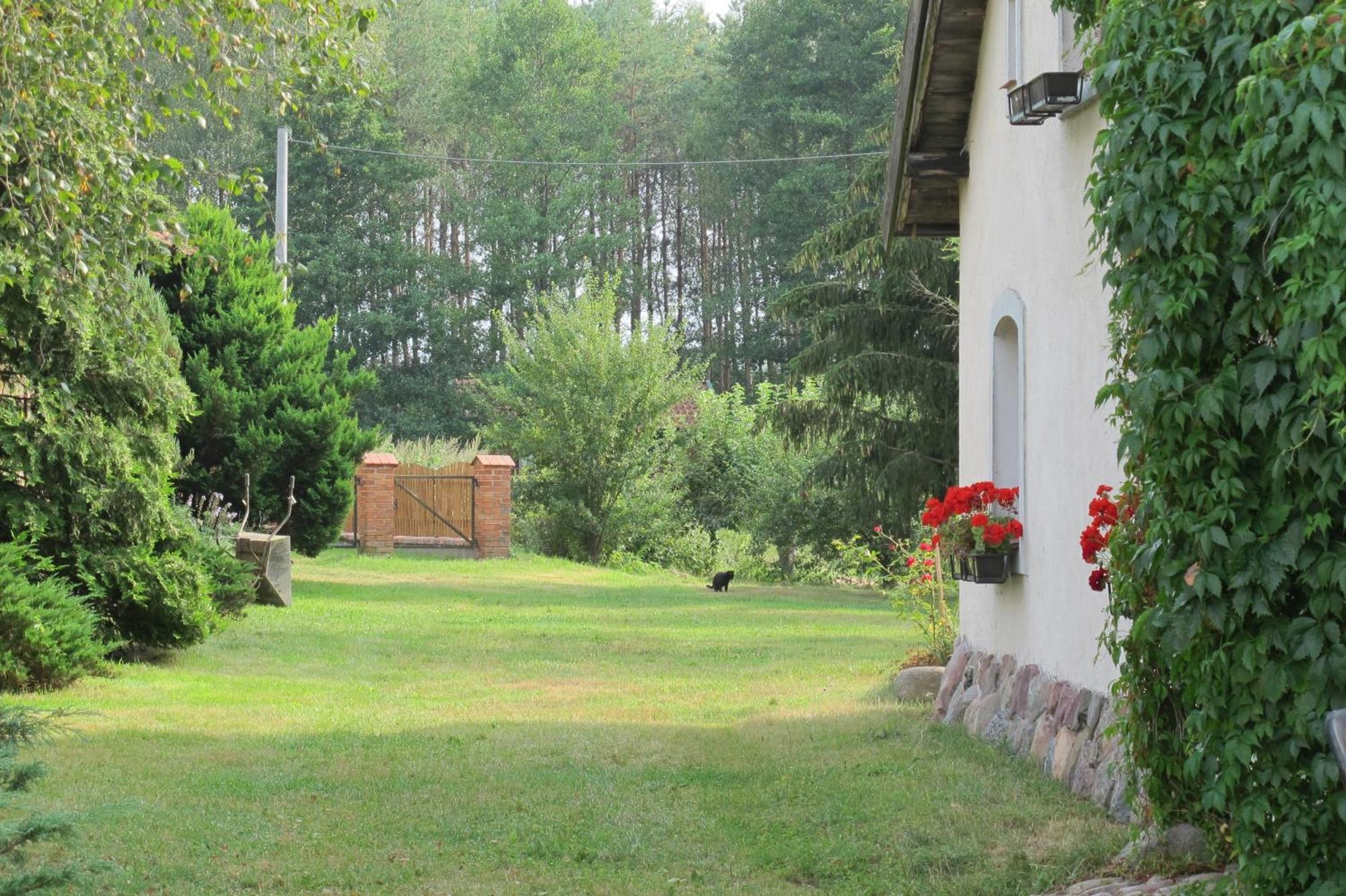 Ferienhaus Na Lesnej Polanie Lidzbark Warmiński